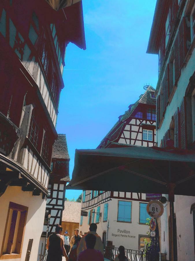 La Terrasse Desaix Daire Strazburg Dış mekan fotoğraf